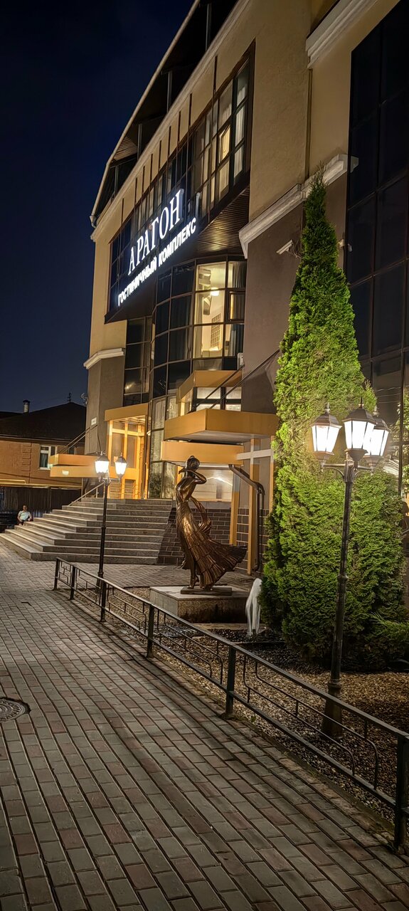 Гостиница Арагон Рязань-252